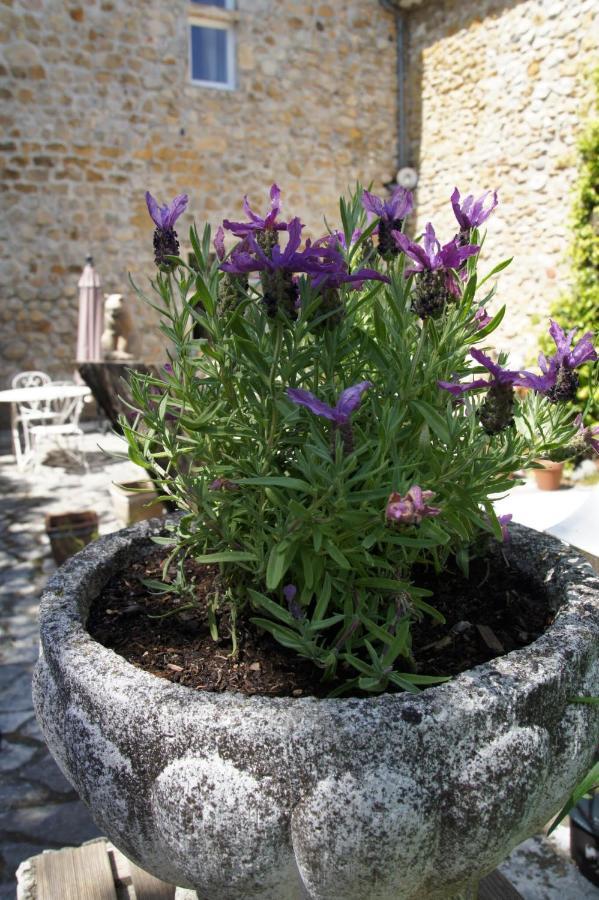 Maison Du Manoir Vallon-Pont-d'Arc Bagian luar foto